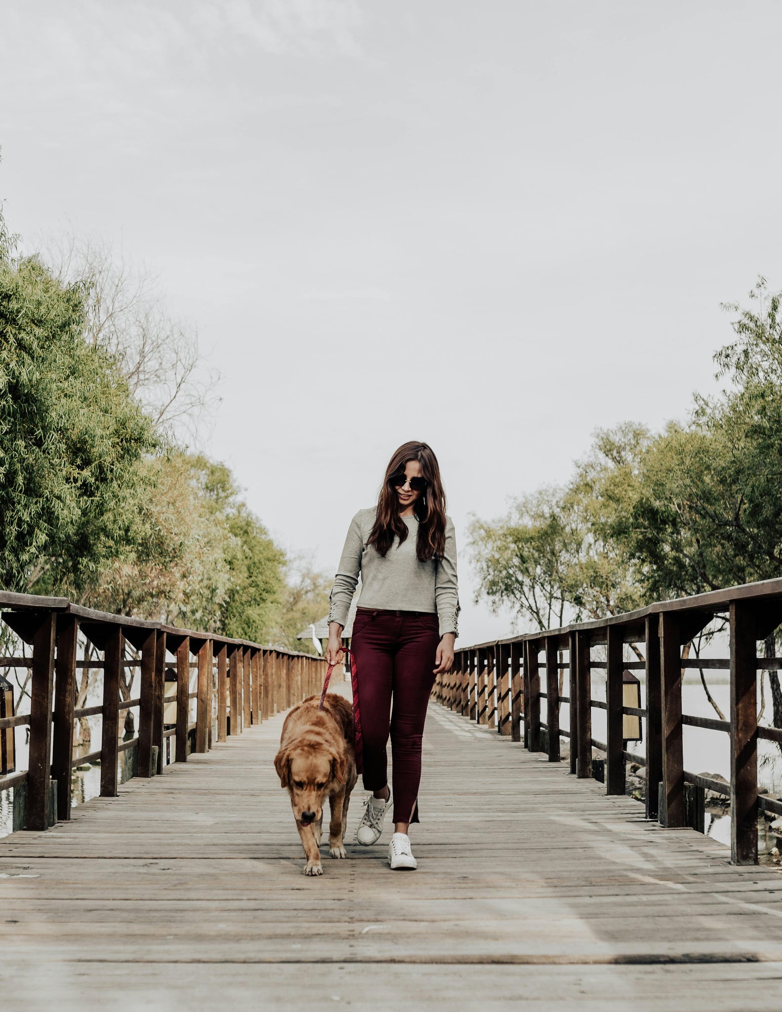 Making Walks Enjoyable for Your Dog: A Basic Training Guide