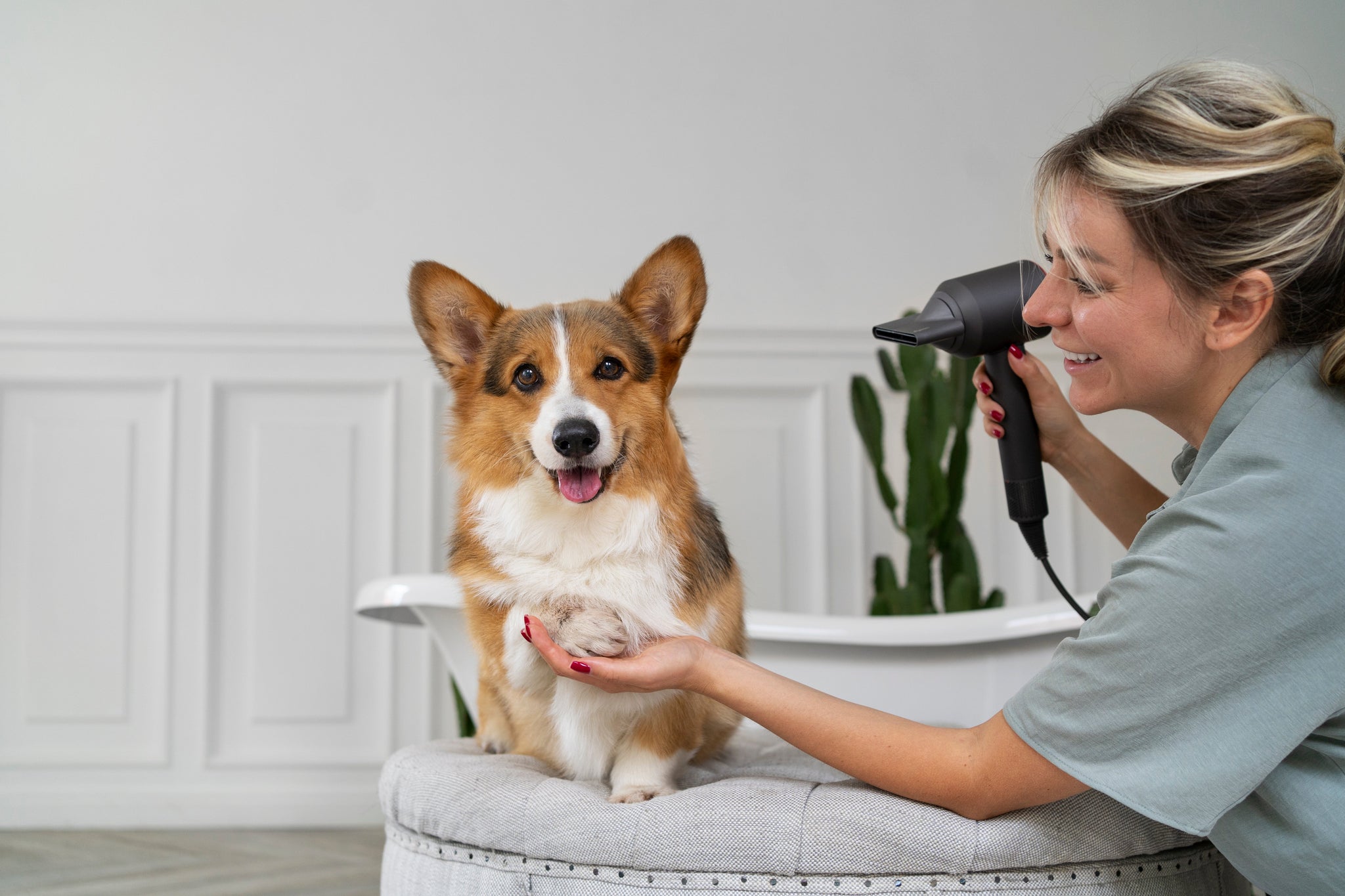 Is My Dog Healthy? 12 Signs to Look For