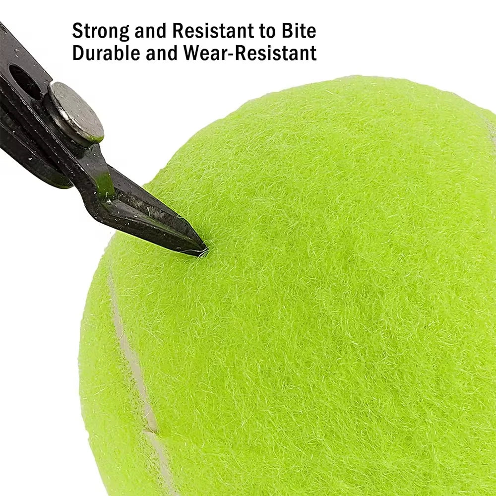 12 Dog Tennis Balls for Fetch: 2-inch, Elastic, for Small/Medium Dogs