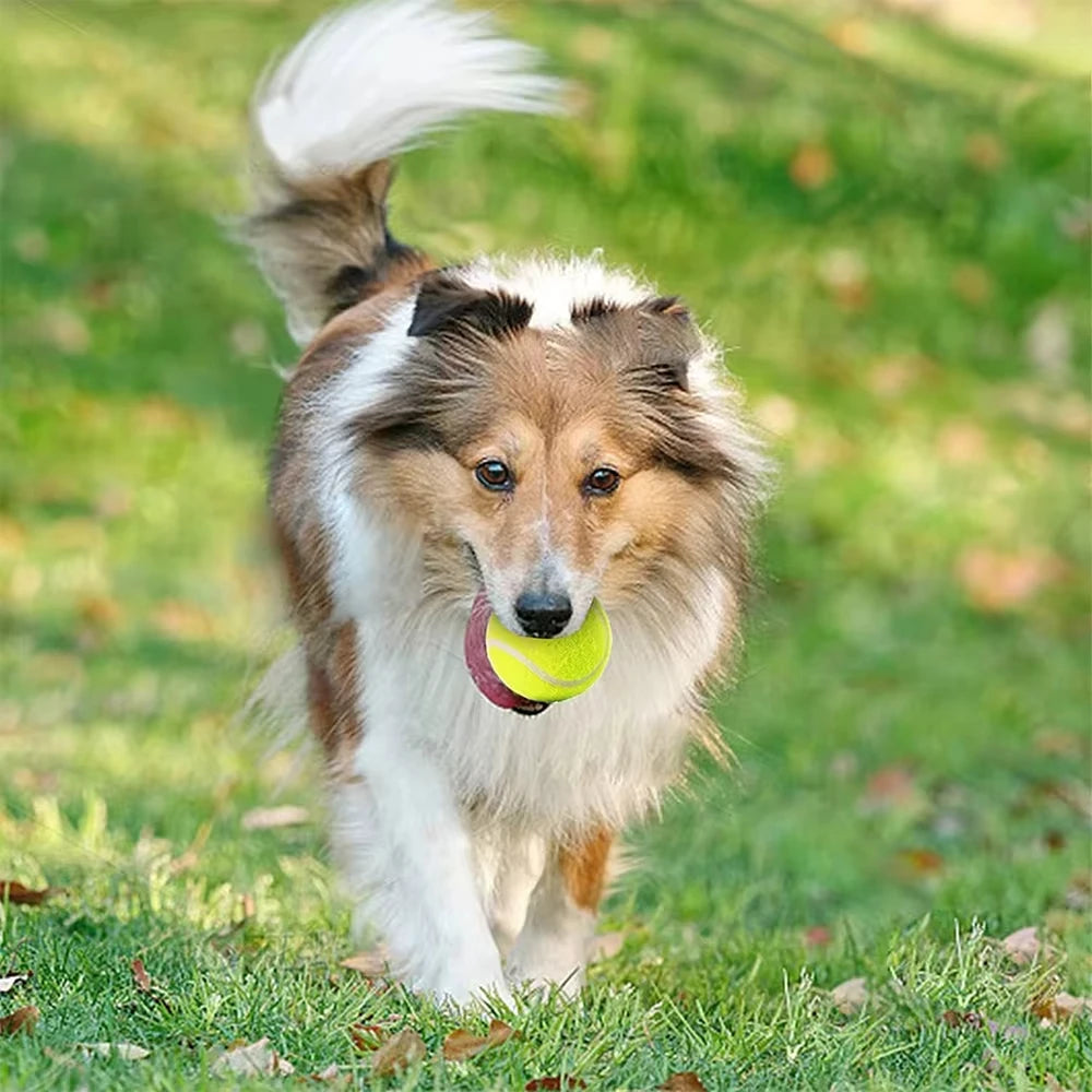 12 Dog Tennis Balls for Fetch: 2-inch, Elastic, for Small/Medium Dogs